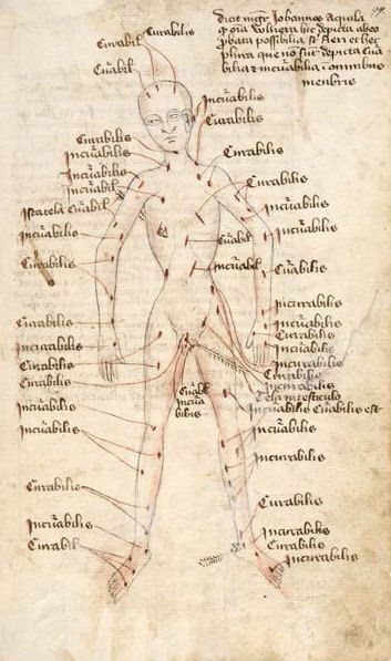 Illumination. A bald, nude person is covered in red slashes and holes. Each wound is labelled in brown ink and is connected to its label by a red line.
