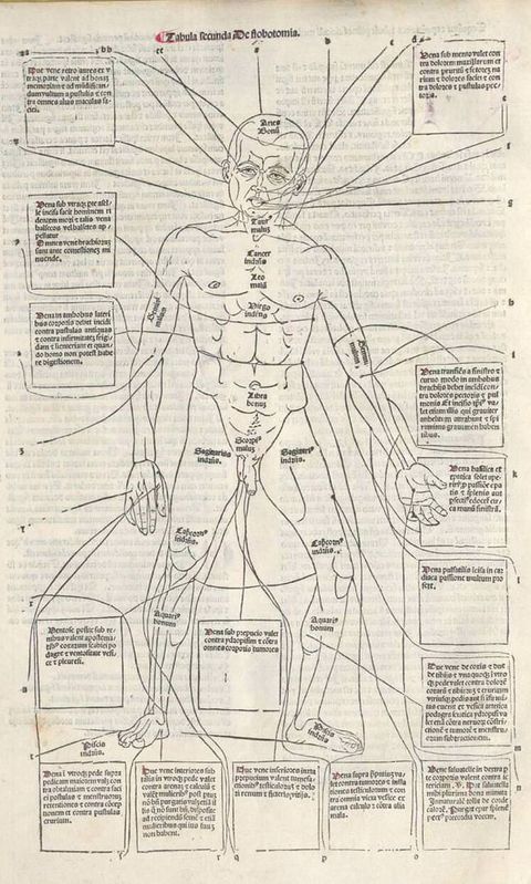Illustration. Areas of a man’s body are labelled on the body itself and in text boxes around the figure that are connected to the body with lines.