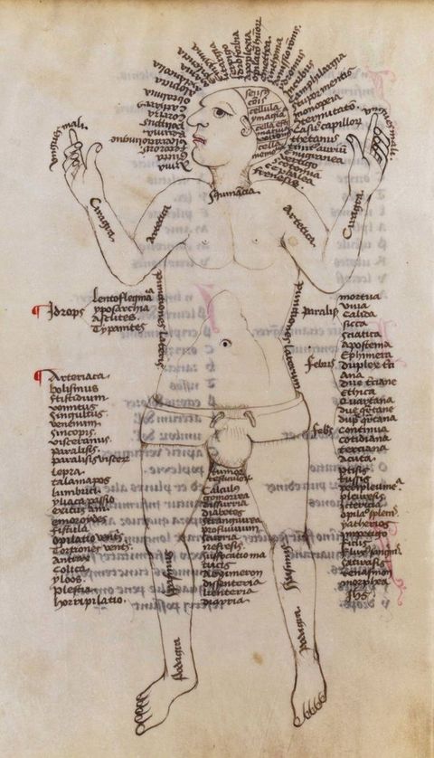 Illumination. A man seems to lie flat, wearing only a loincloth. His elbows are bent so his hands are by his head. Columns of text line his body and some body parts are labelled. Lines of text fan like a starburst around his head.